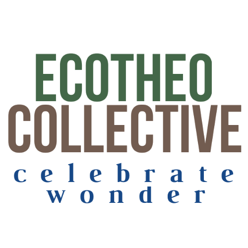 EcoTheo Collective