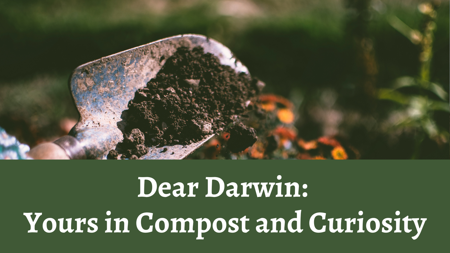 Dear Darwin: Yours in Compost and Curiosity