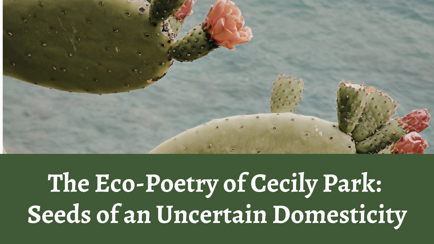 The Eco-Poetry of Cecily Park: Seeds of an Uncertain Domesticity