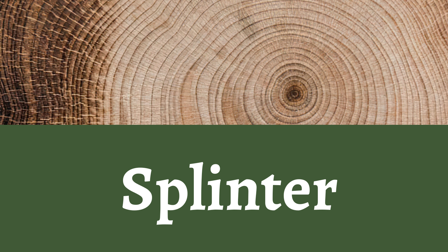 Splinter