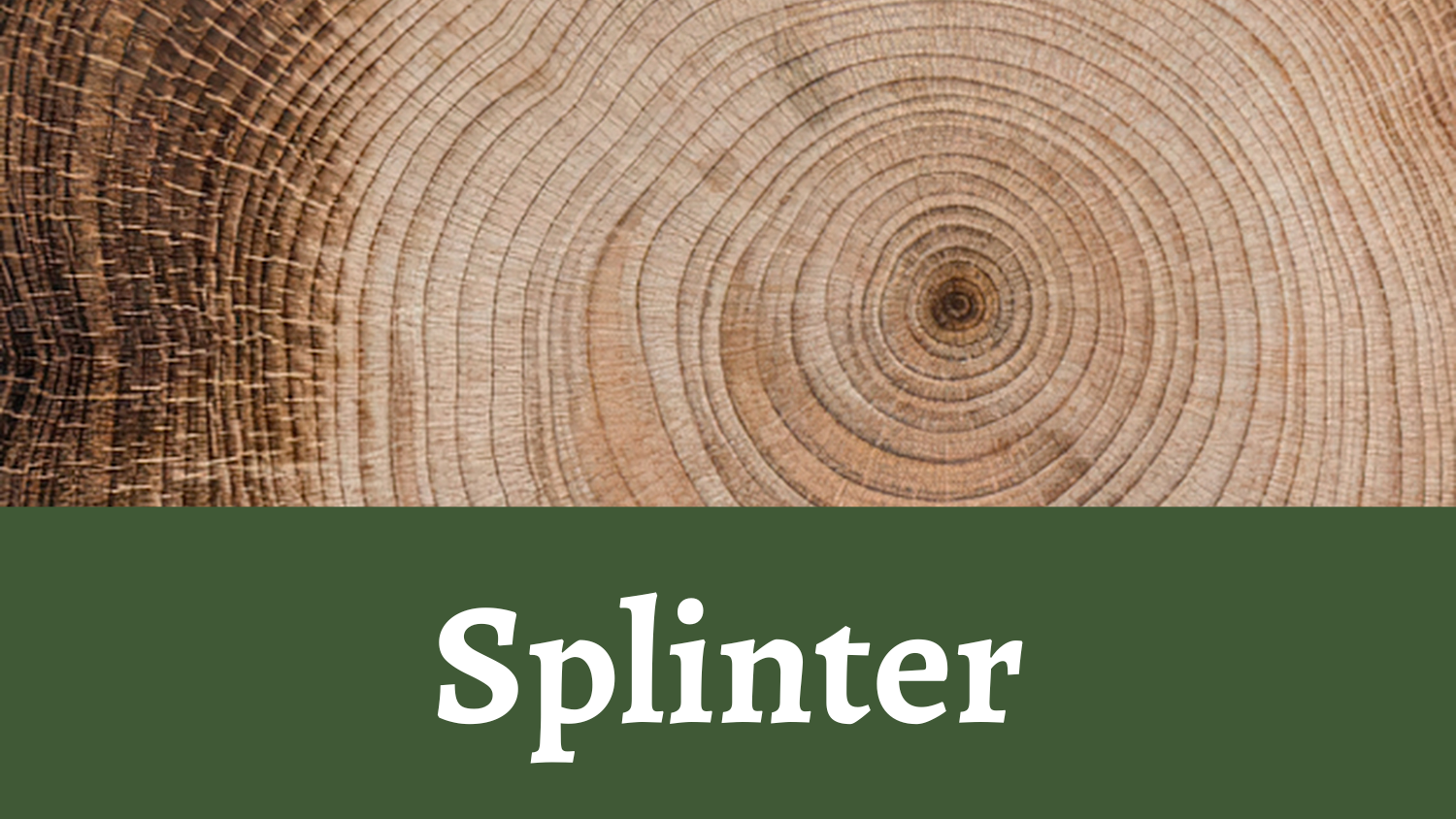 Splinter