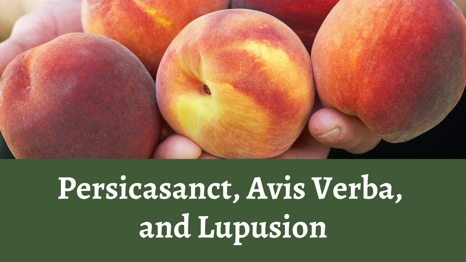 Persicasanct, Avis Verba, and Lupusion