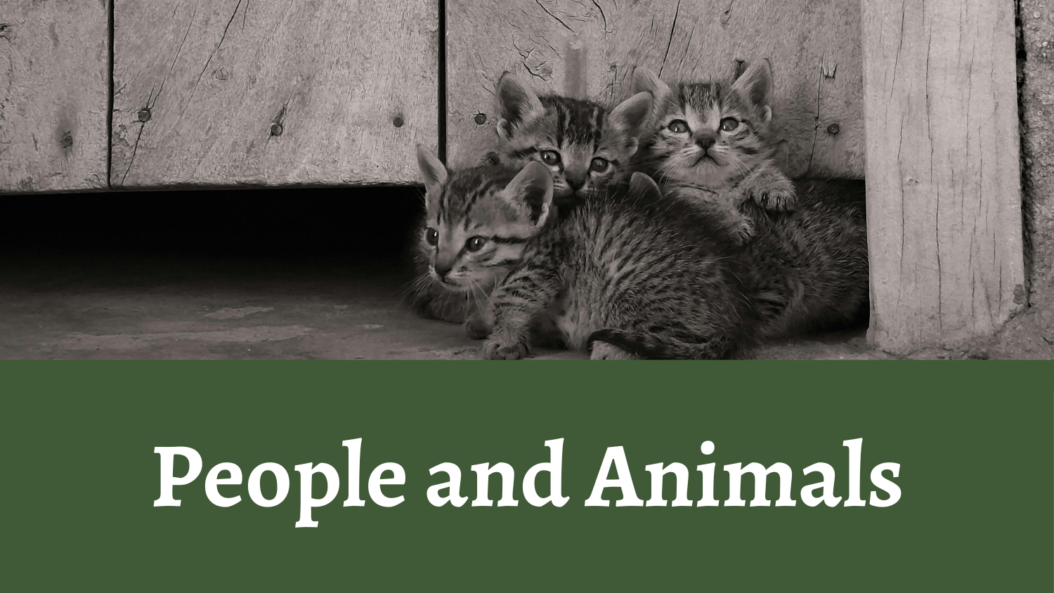 People and Animals