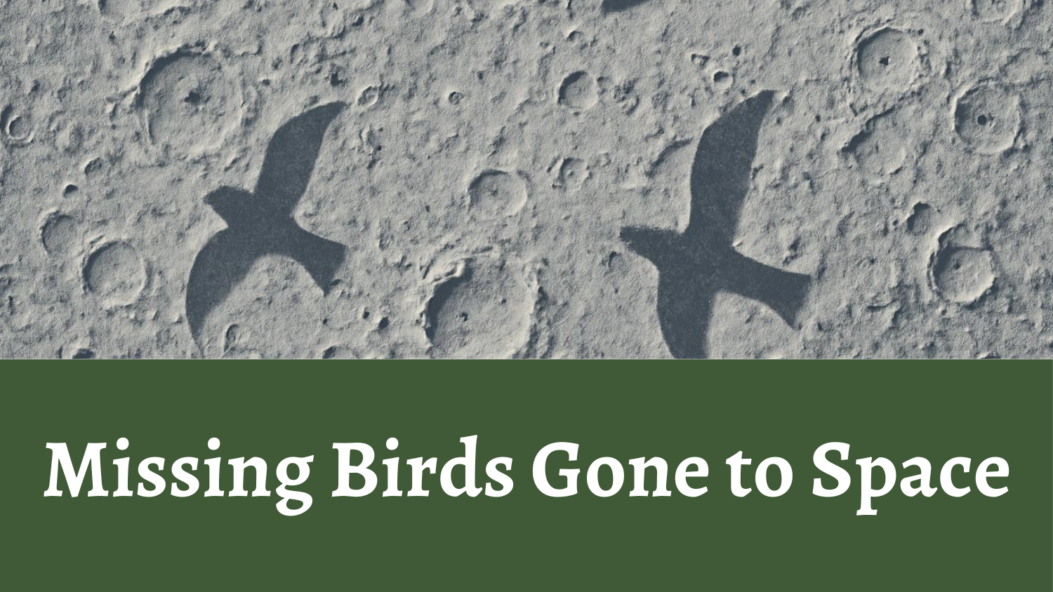 Missing Birds Gone to Space
