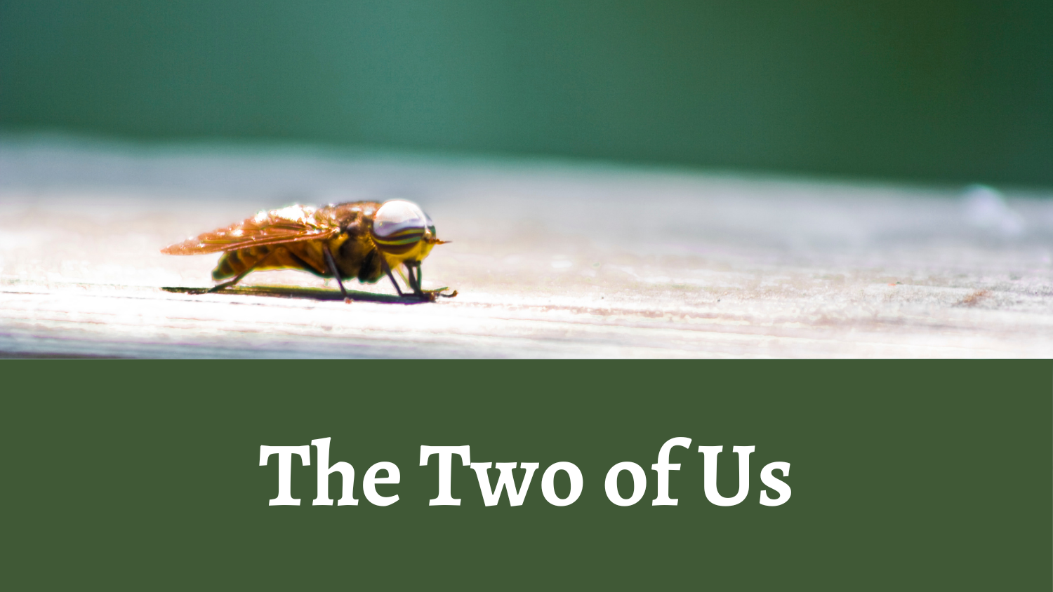 The Two of Us