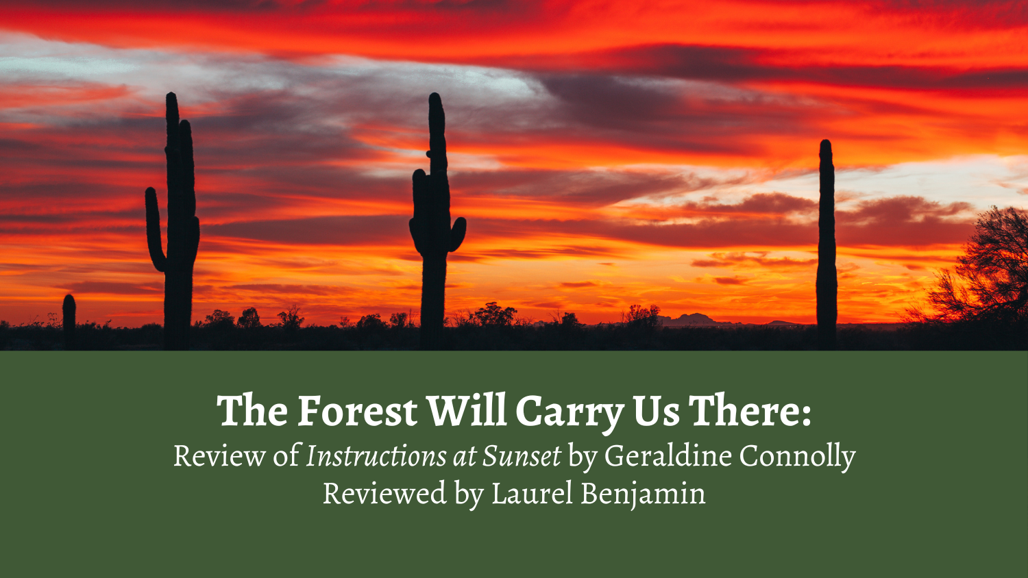 The Forest Will Carry Us There: Review of Instructions at Sunset by Geraldine Connolly Reviewed by Laurel Benjamin