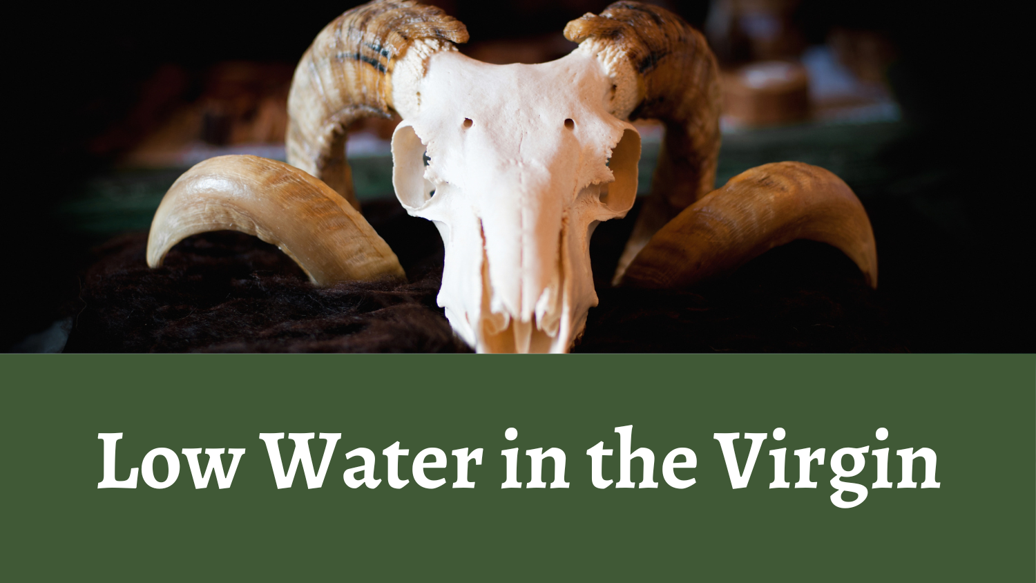 Low Water in the Virgin