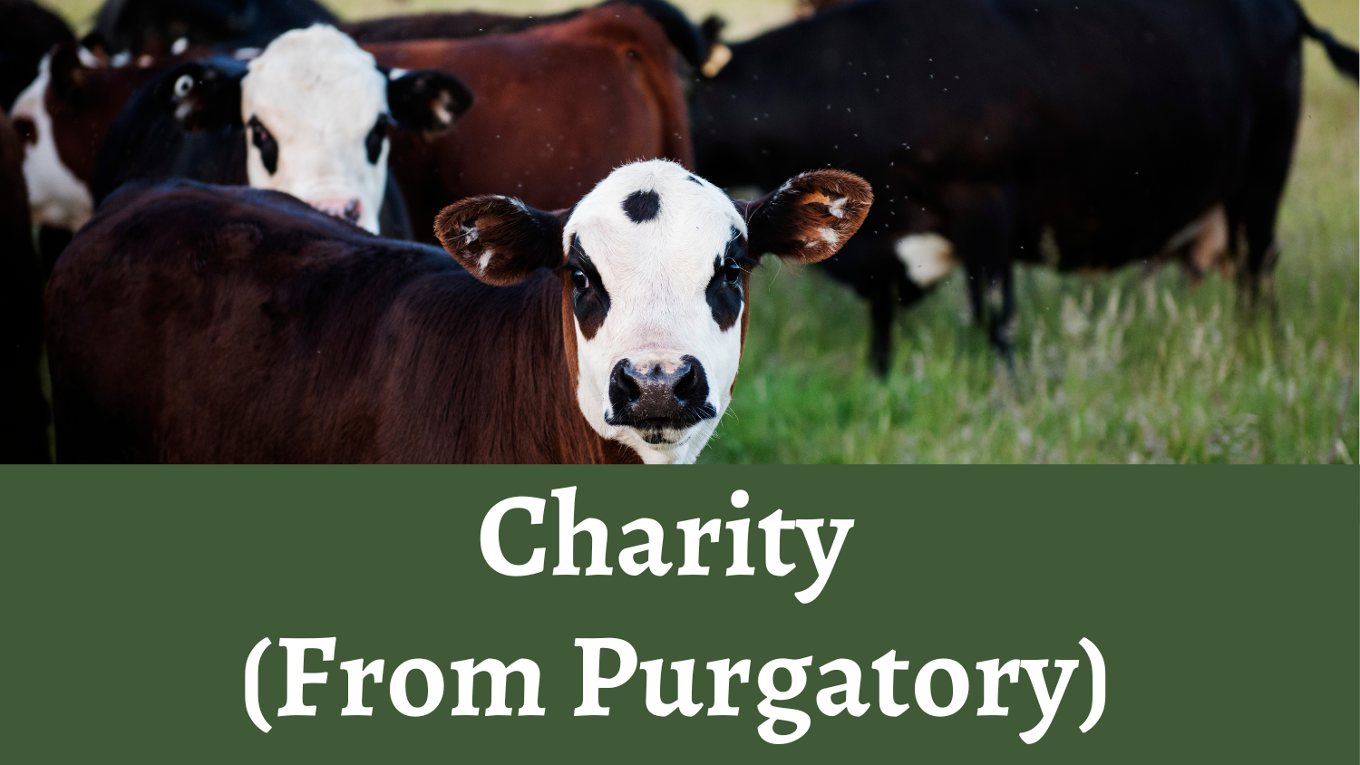 Charity (From Purgatory)