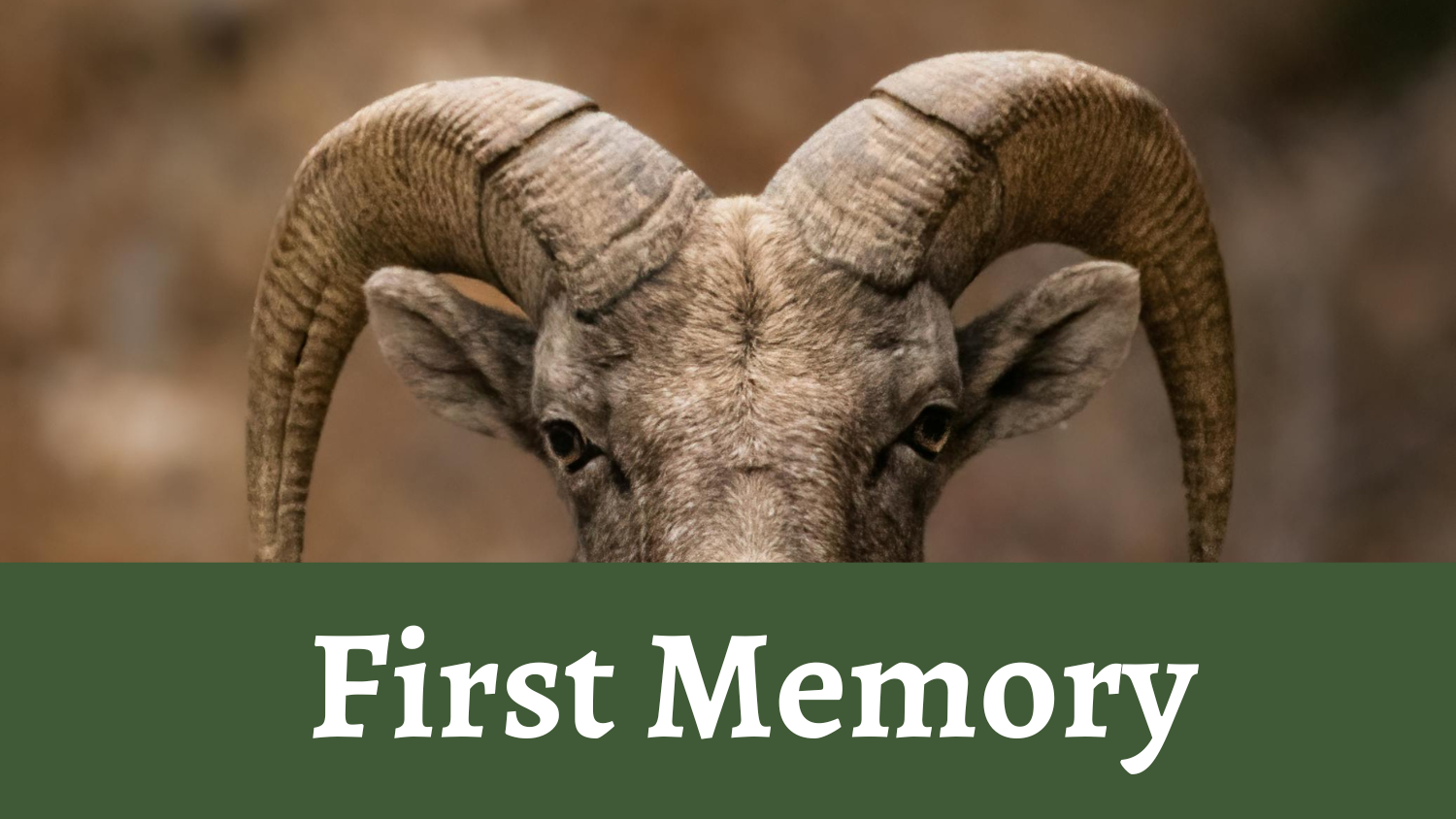 First Memory