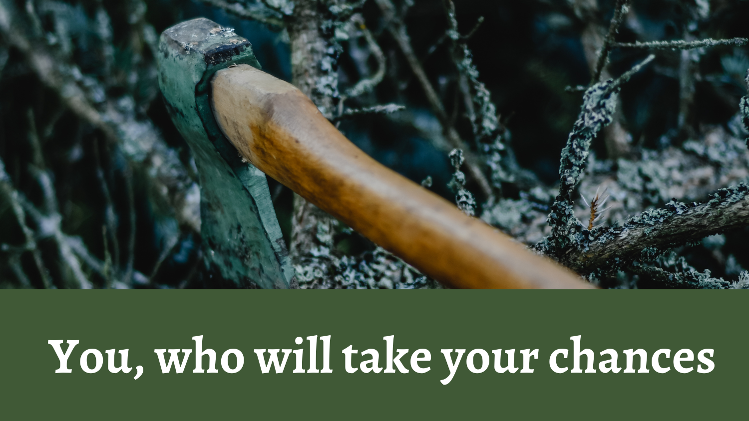 You, who will take your chances