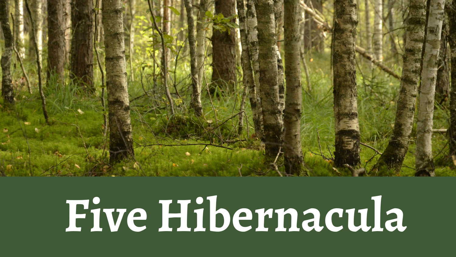 Five Hibernacula