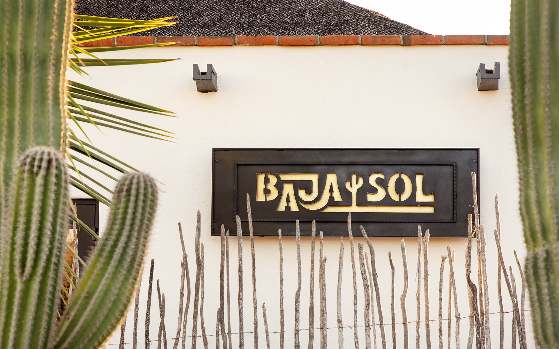 A building with a sign reading 'Baja Sol,' surrounded by tall cacti and a wooden fence, with a brick wall and some roof details visible in the background.