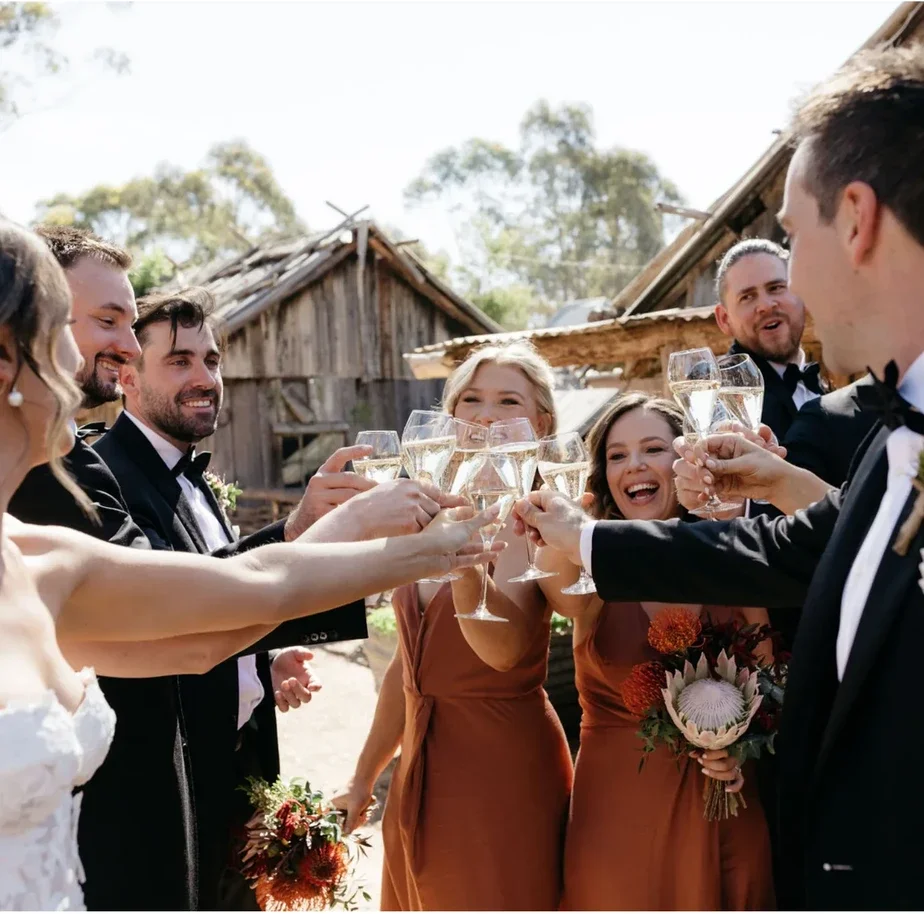 wedding-celebration-pv-cropped.webp