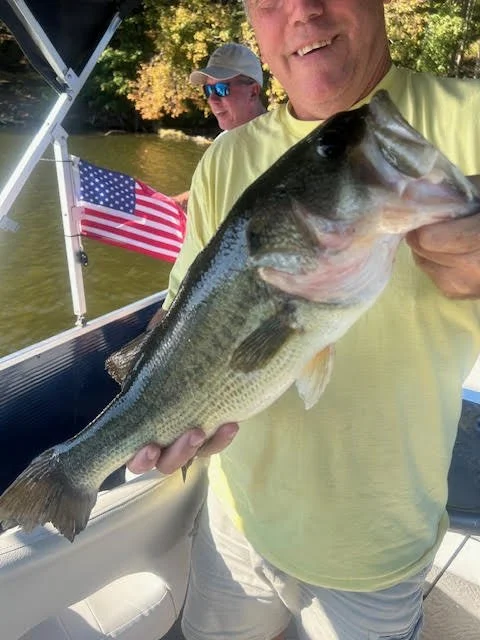 Another Good Looking Fish!