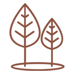 Minimalist line drawing of two leaves with a solid background