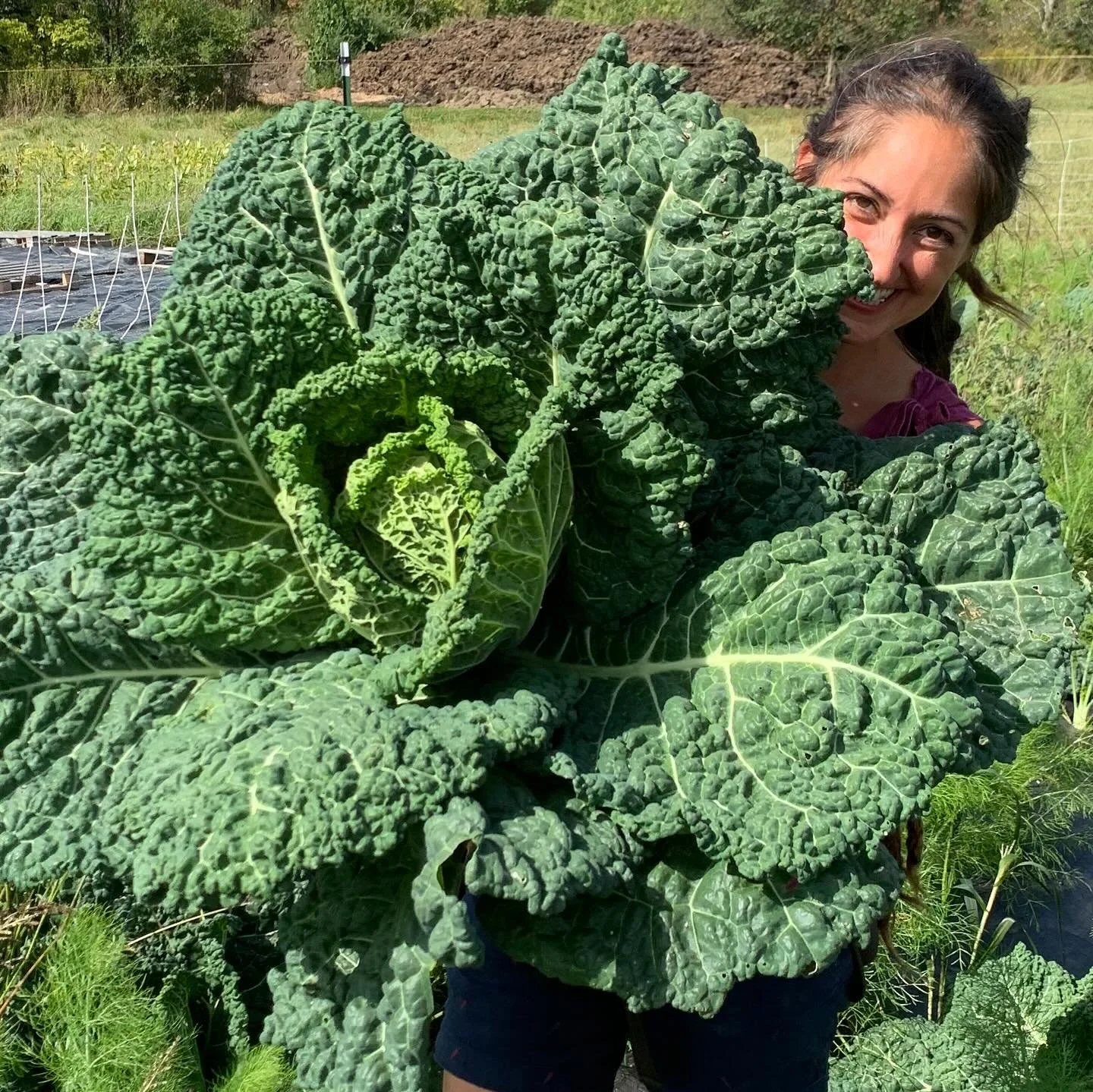 The last market of the season is tomorrow!!! Sunday 3-6pm find us on the @westfordvt common with fall and summer yummies&hellip;
- WINTER SQUASH IS HERE
- spinach
- cabbage
- kale
- swiss chard
- tomatoes 
- scallions 
- eggplant 
- salad mix 
- radi