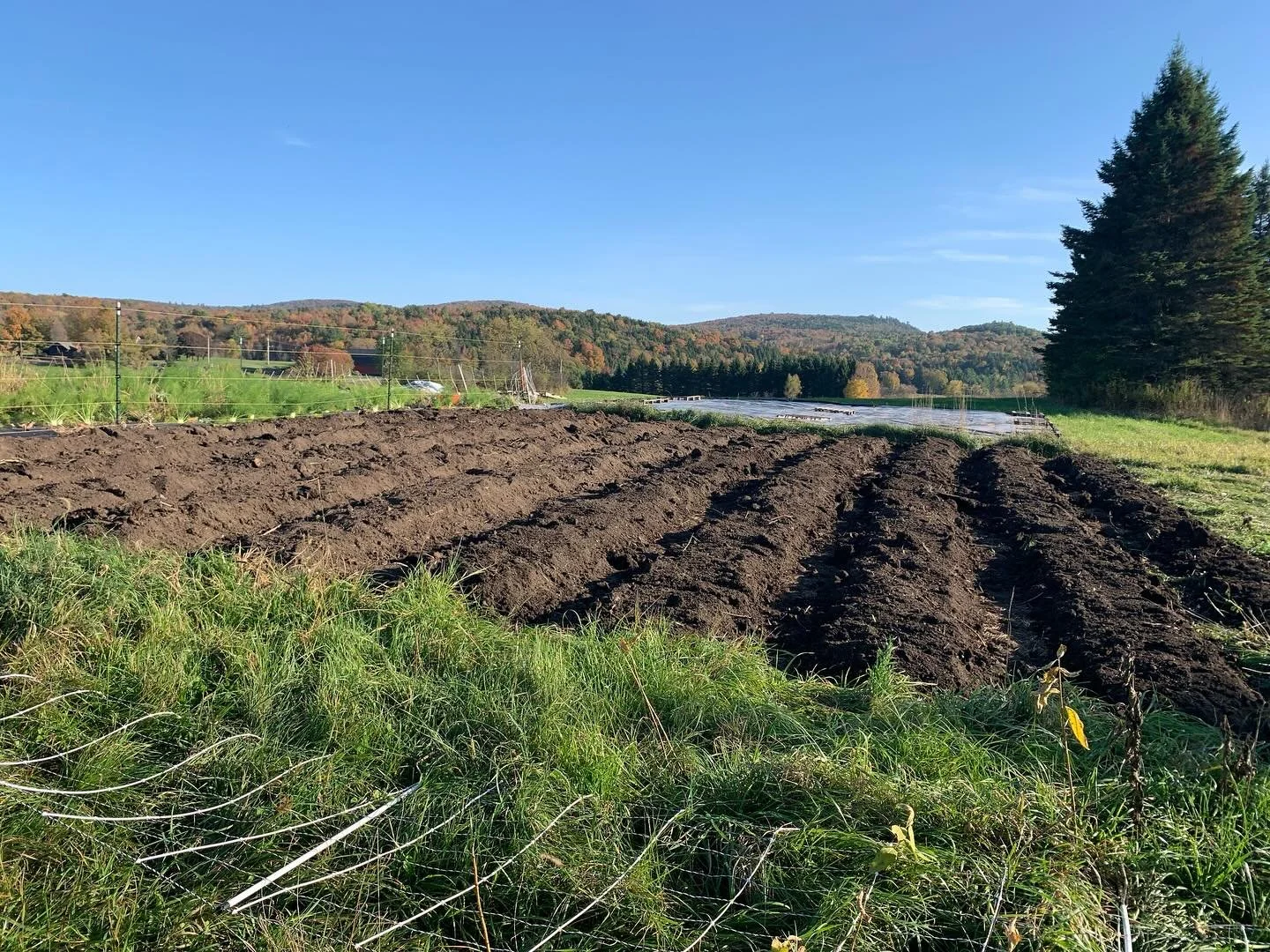 New beds!!! Our satellite field got another block of beds this week. We are so very grateful to our host farm for partnering with us on this journey. We added 10 new beds to the field (with the most delicious compost!!) and tarped another 20. We&rsqu