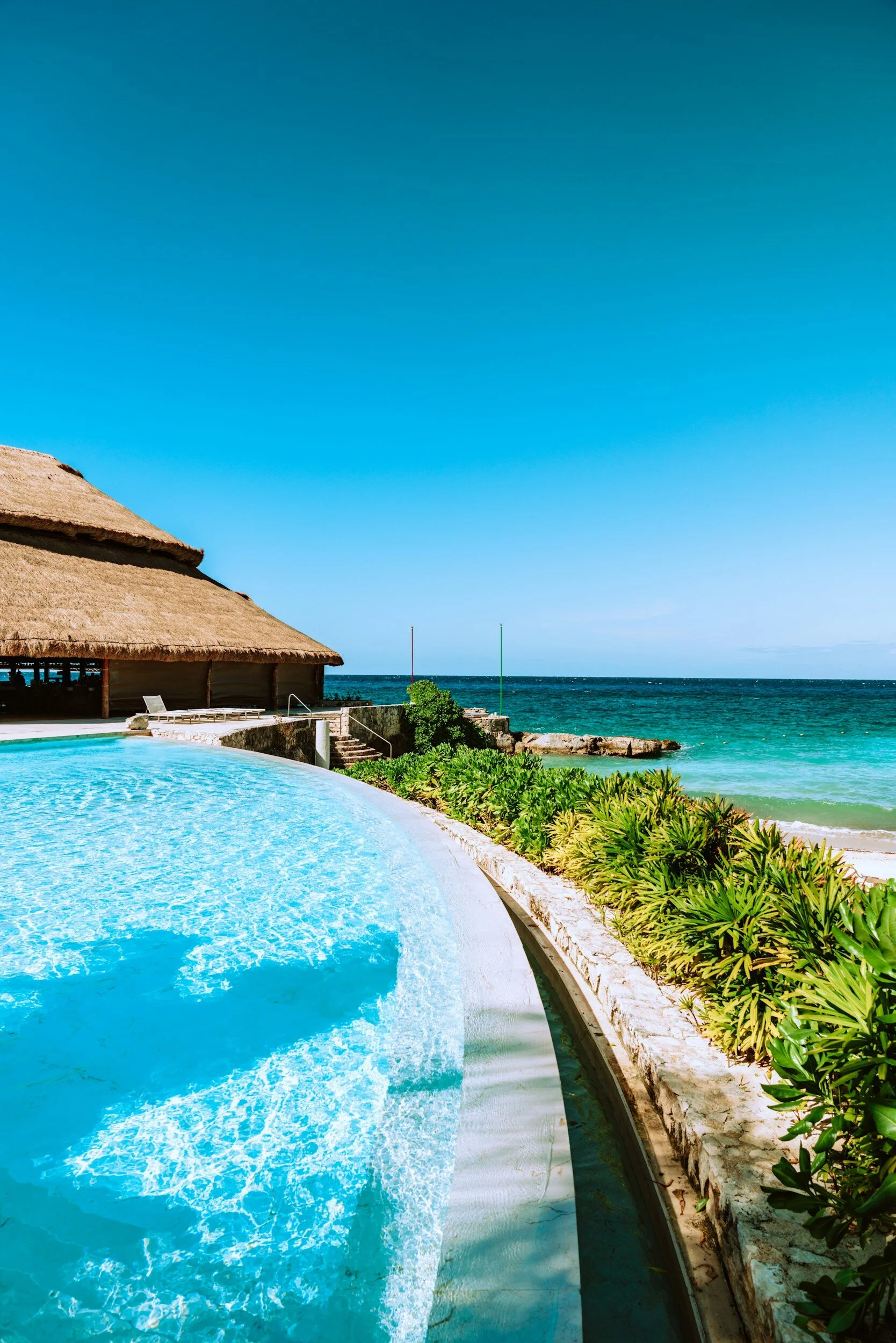 Unlocking Million-Dollar Opportunities: How Booking Wellness Groups Can Transform Your Hotel's Revenue