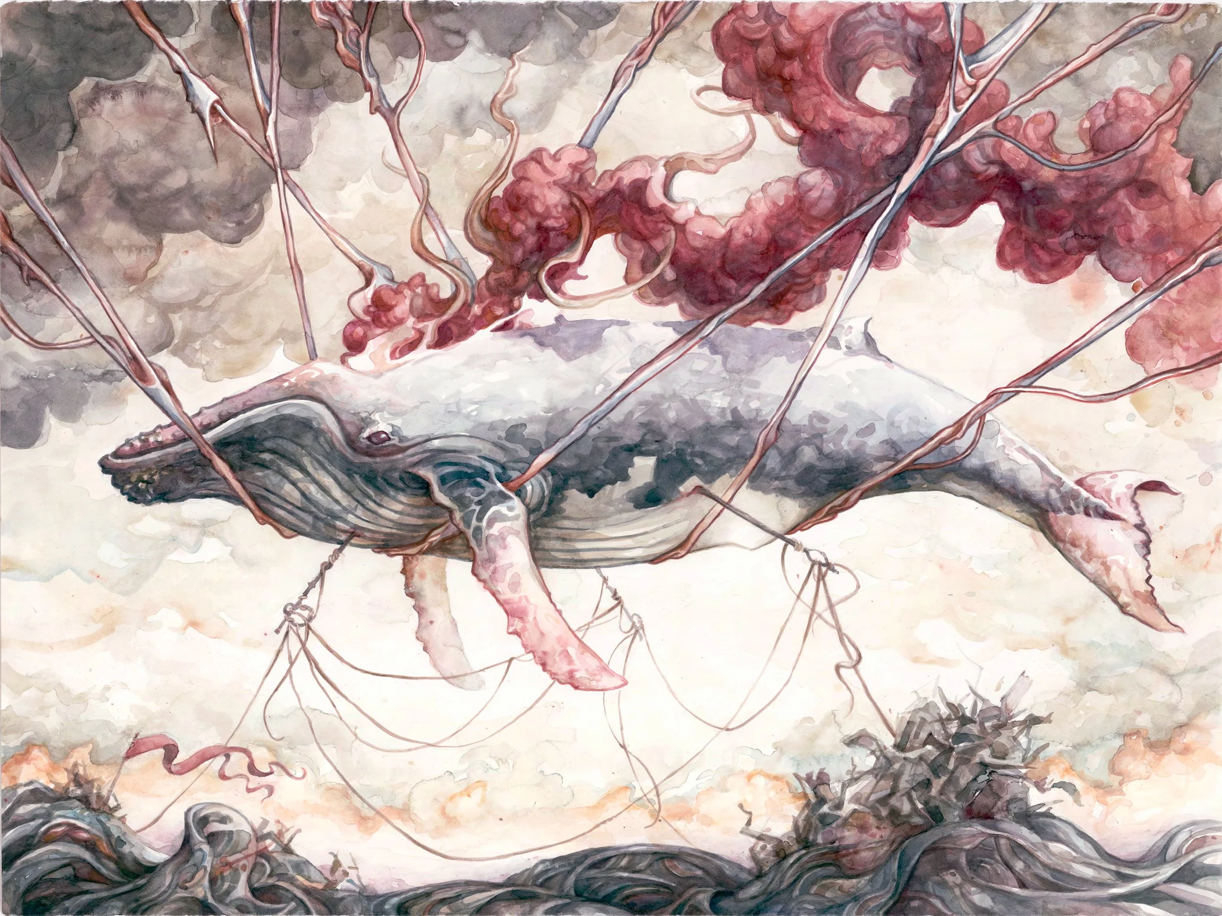 Final Migration - Humpback Whale - Archival Print