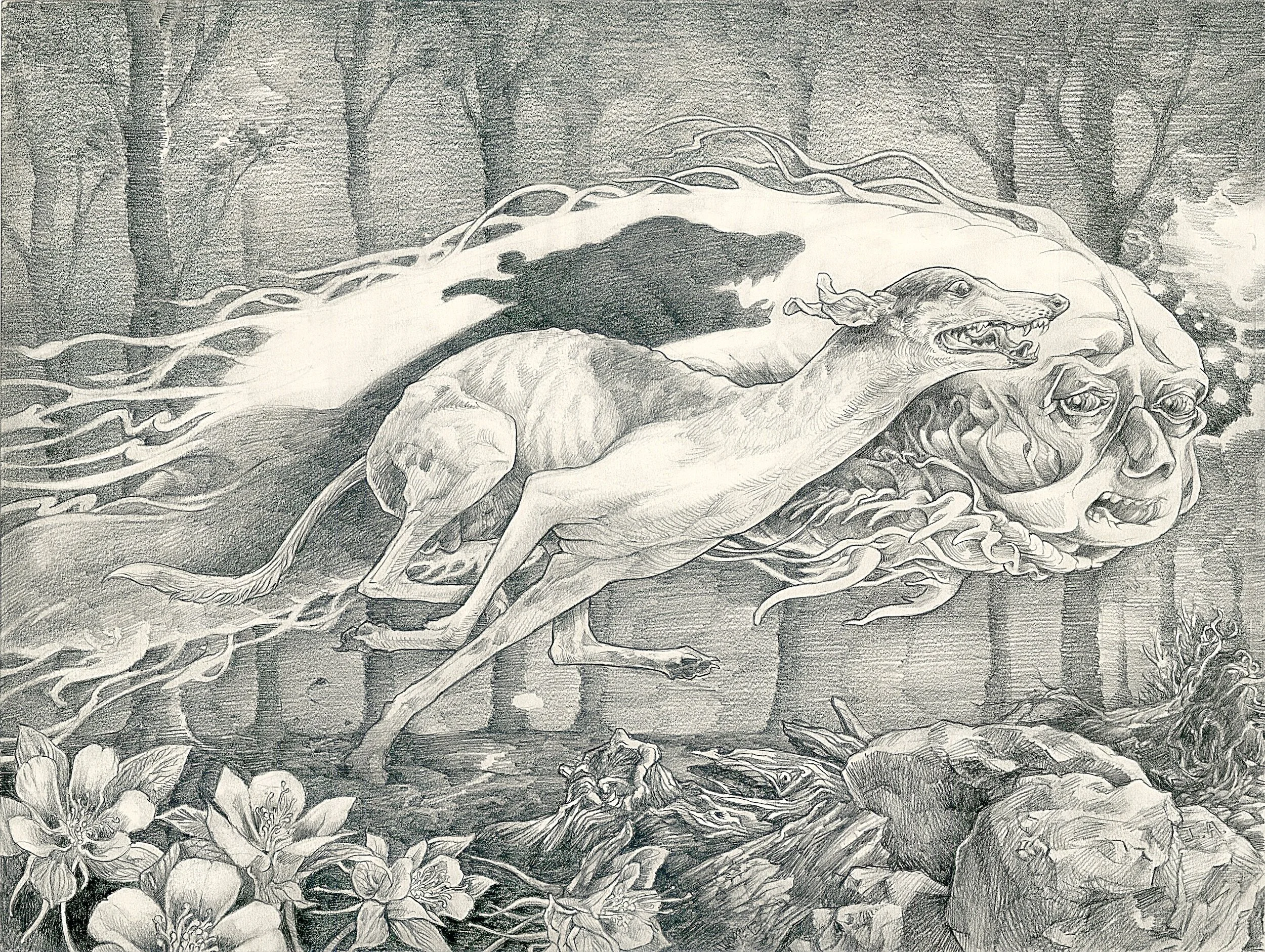 Grey Ghost - Greyhound & Forest Spirit - Archival Print