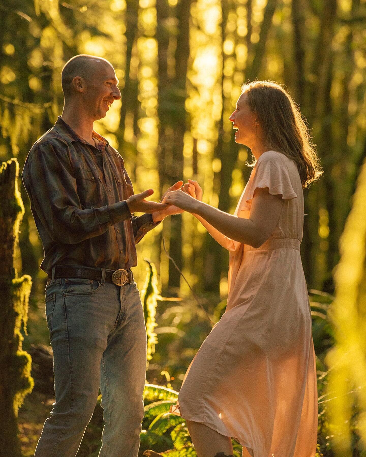 Some more from Brianna and Matt&rsquo;s engagement in the mossy old-growth forest at golden hour 💛