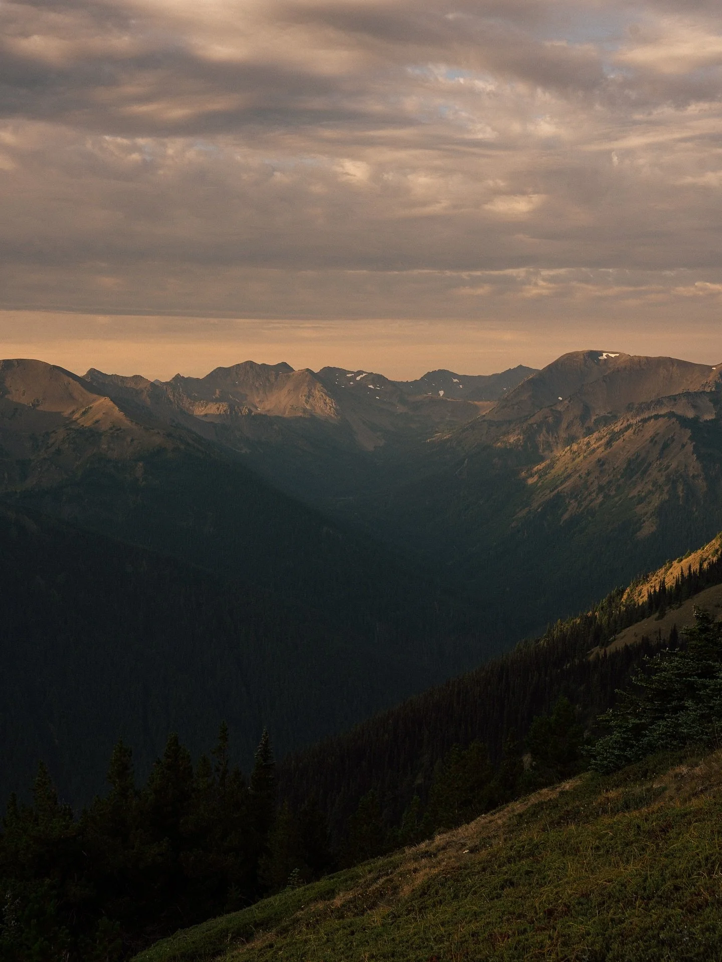 4 days searching for marmots and burrows.

Fueled by dog licks, Lunchables, Chobani Flips, Joybursts, and good vibes from Donovan, the generous and infamous Olympic camp host who invited us to join the Olympic brotherhood/siblinghood. 🫡

#pinchotpup