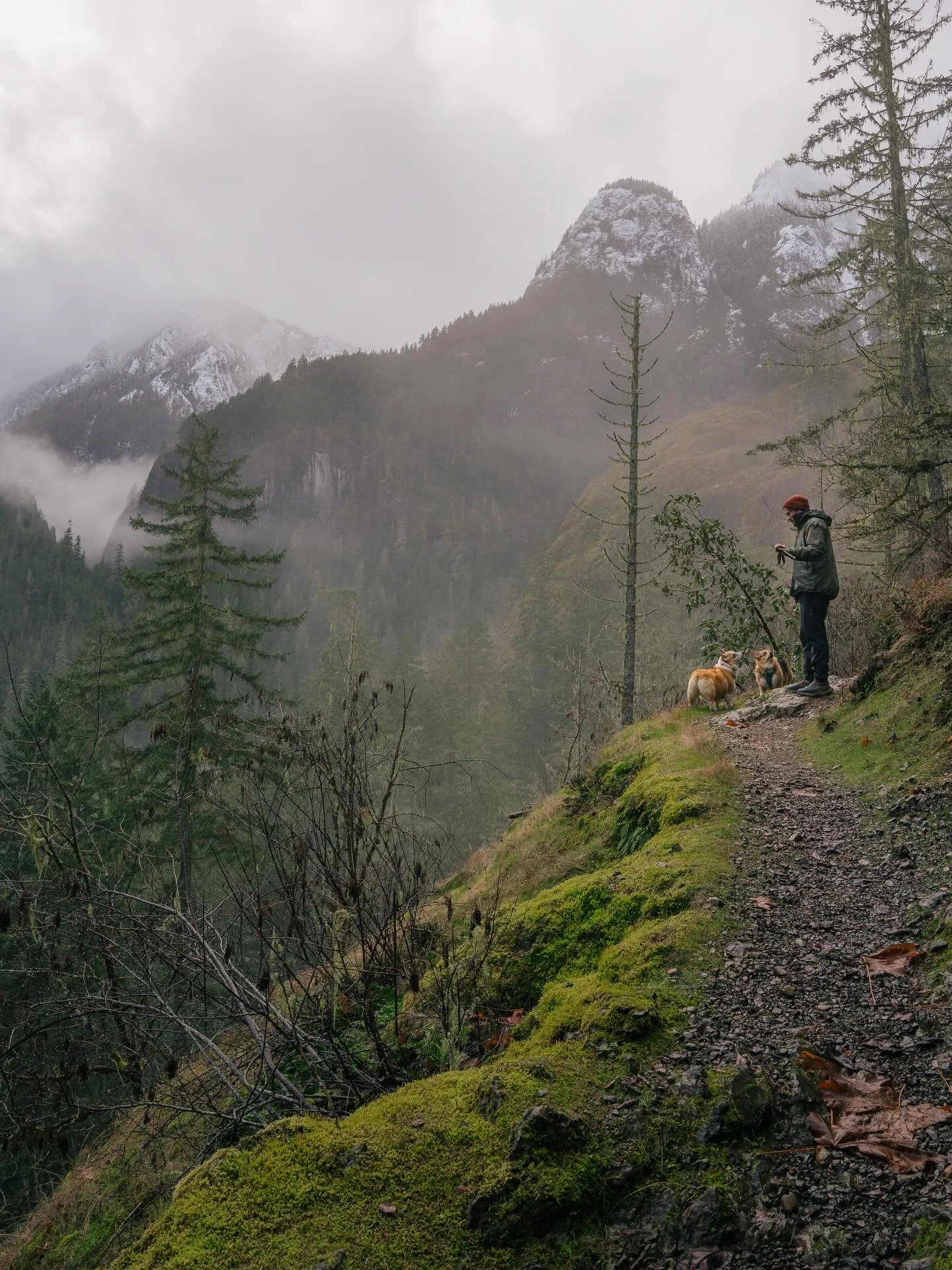 Took a short break to decompress from the year and to mentally prepare for a surgery with a long recovery, but whew. 2025 was a rollercoaster as I&rsquo;m sure it was for a lot of people. All I can really say is that the support and community we have