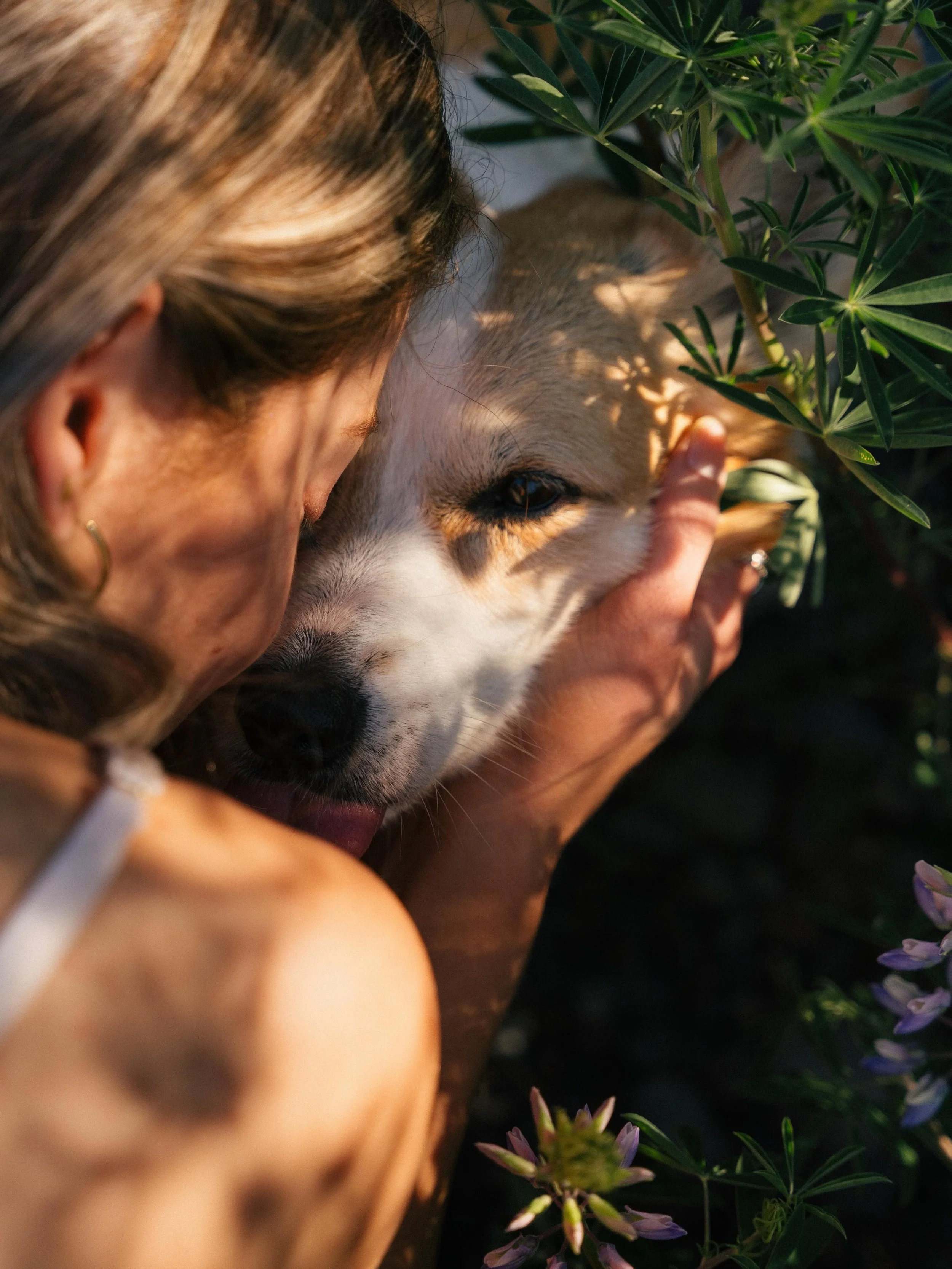 I could go on and on about how much these dogs mean to me, but I think it&rsquo;s pretty clear how I feel.

A huge thank you to Alex for giving me one of the best gifts I&rsquo;ve ever received: some captured moments in time with us girls spending ou