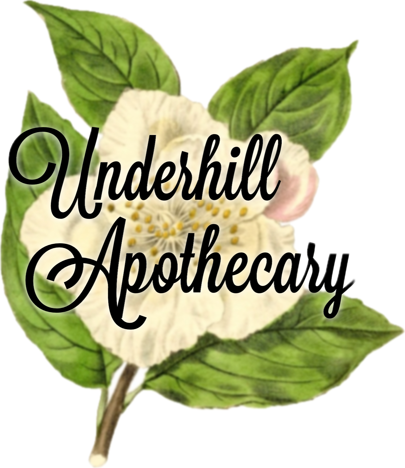 Underhill Apothecary