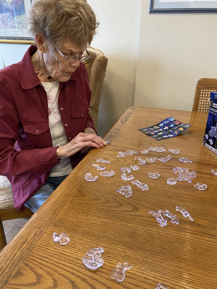 Puzzle day