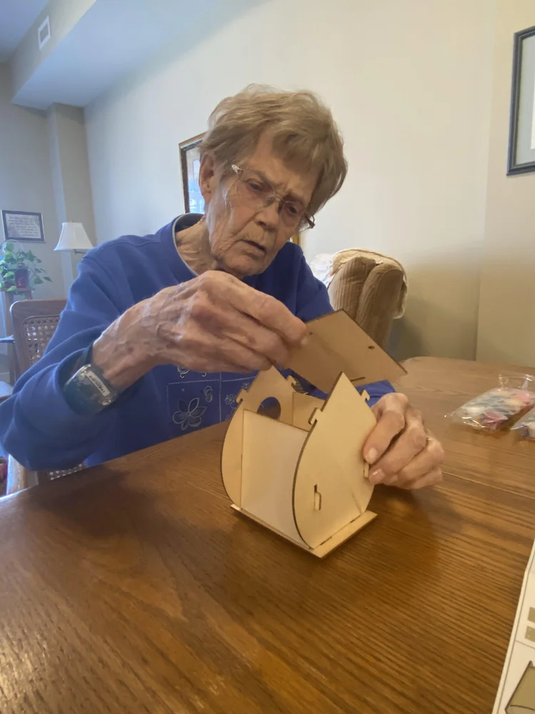 Building birdhouses