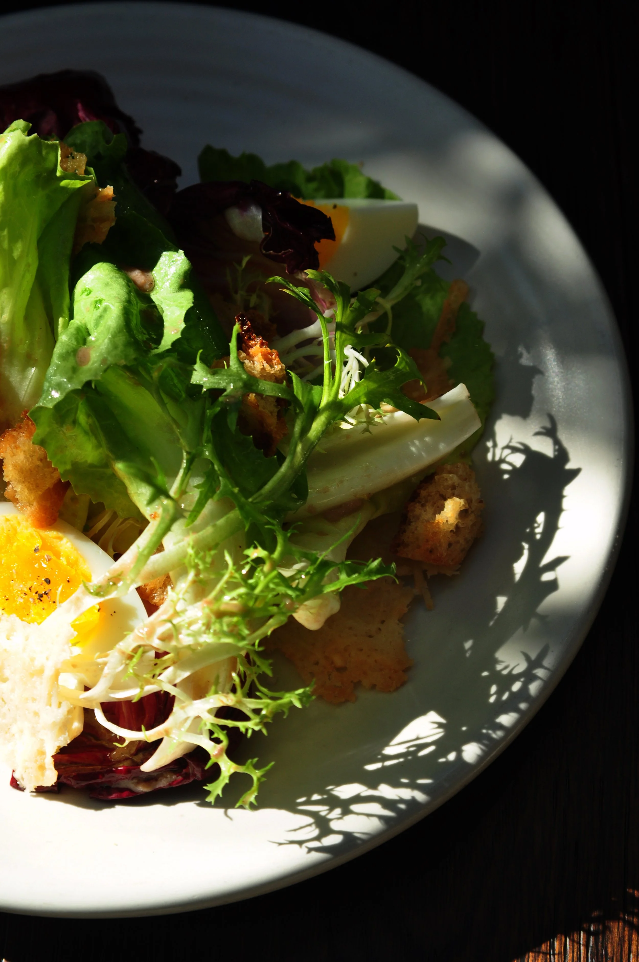 High contrast image chicories, pecorino frico, anchovy, croutons & soft egg