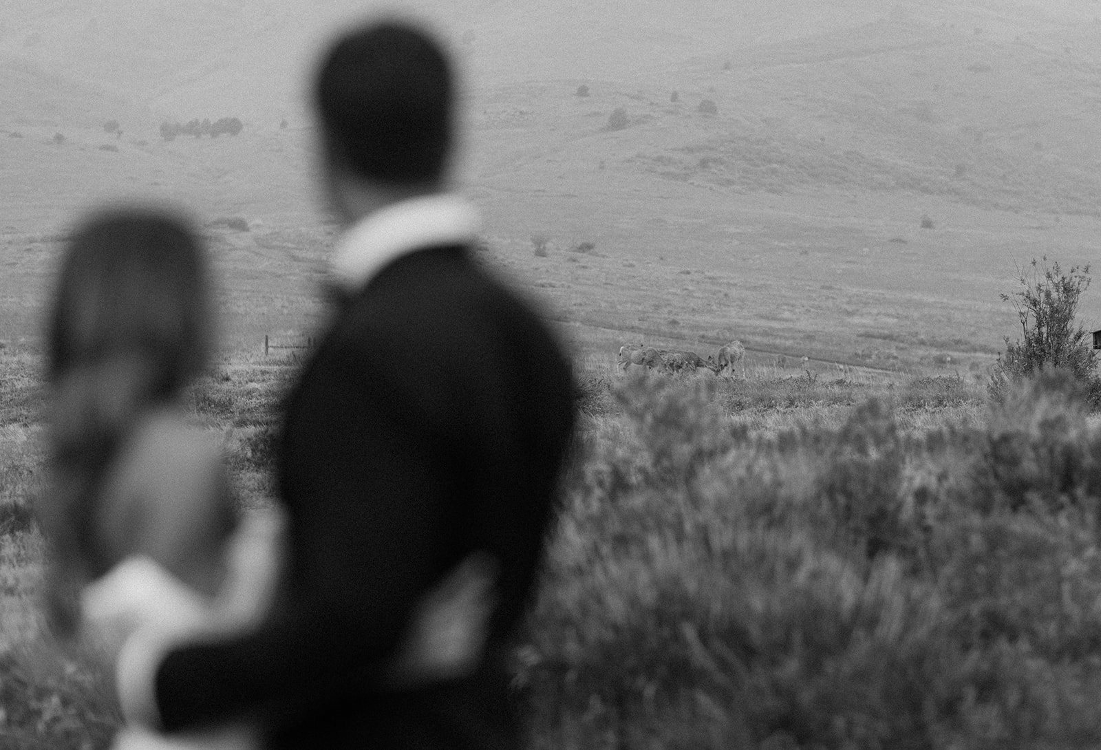 bride and groom embracing staring out on the horizon at Crystal & Derek's Elegant Destination Wedding in Colorado at The Manor House