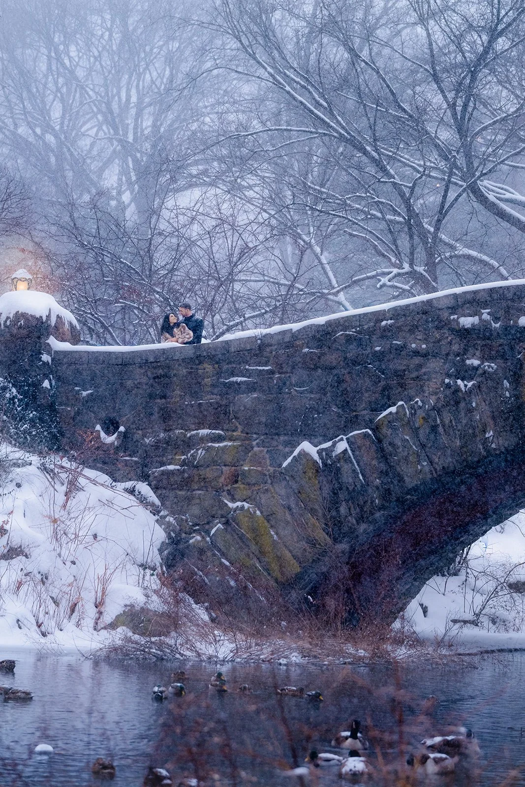 Engagement photoshoot at Gapstow Bridge in Central Park, New York