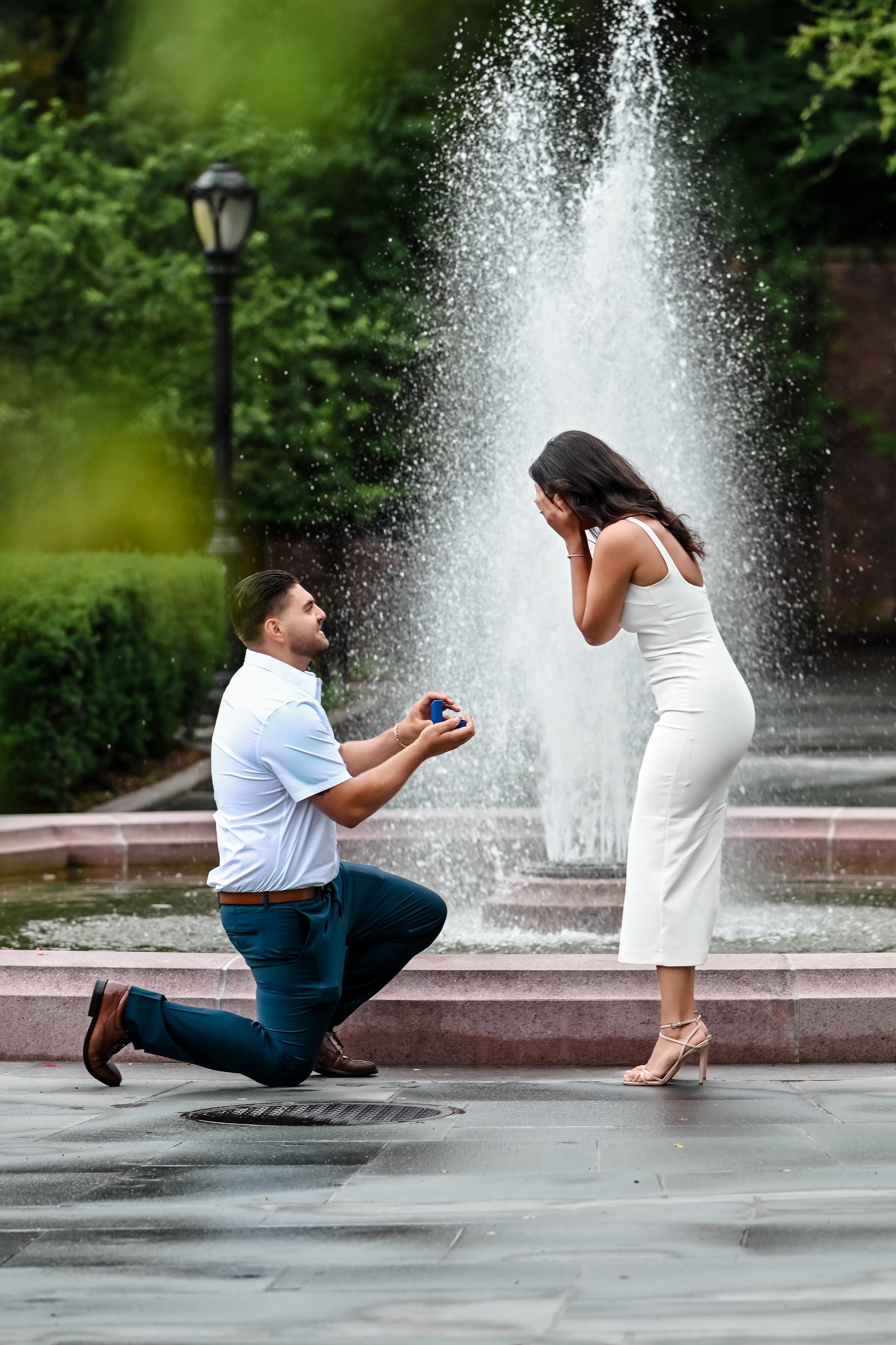 The Conservatory Central Park proposal