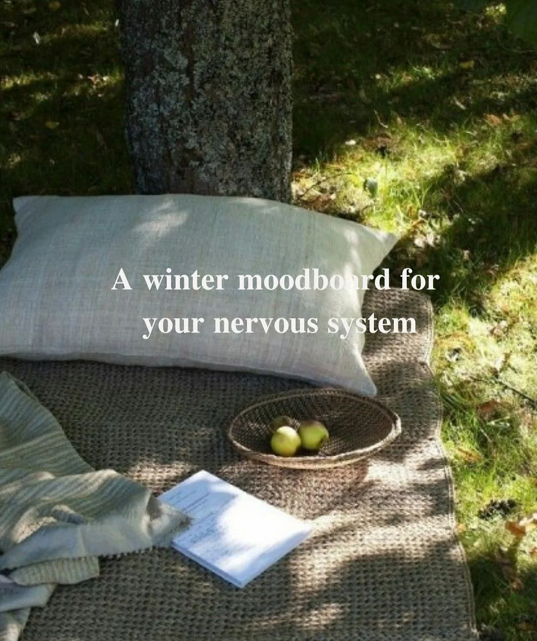 Your nervous system has seasons too.
 In winter it craves familiar spaces, warmth, and restoration. Think of it like us naturally leaning into a season of doing less: Making time to enjoy watching a nourishing meal simmering on the stove, the deep he
