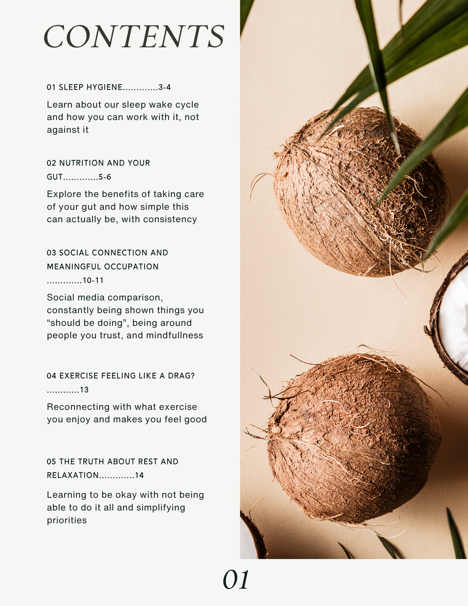 Table of Contents (1).png