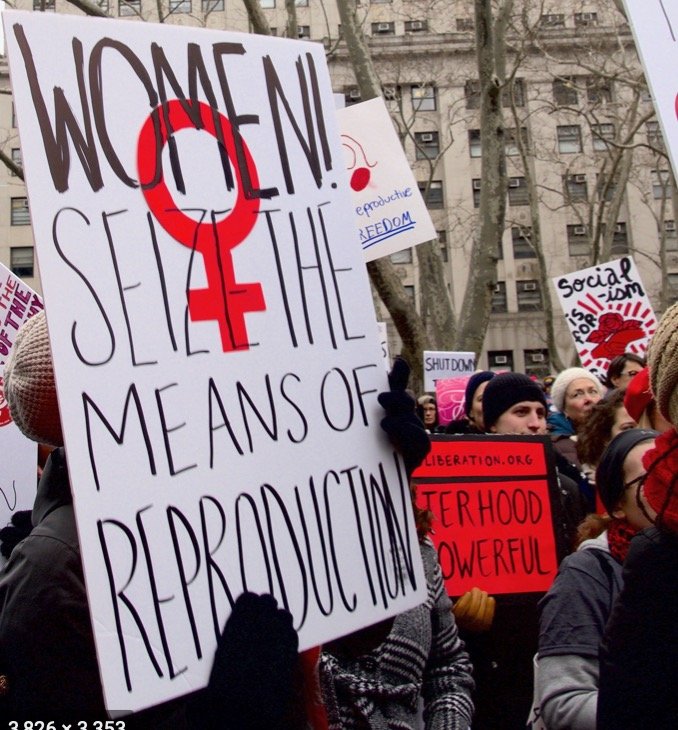 women seize the means of reproduction.jpeg
