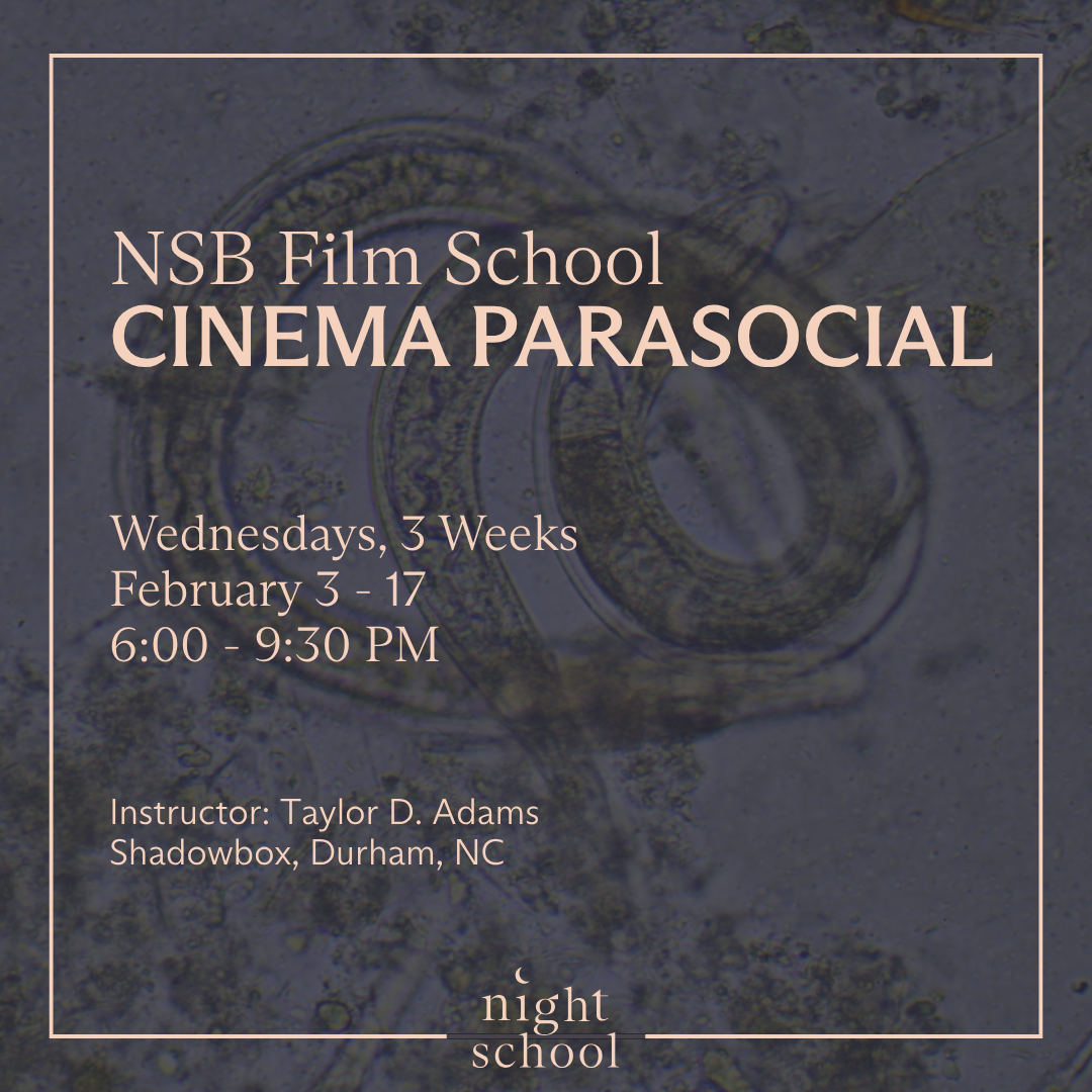 parasocial.png