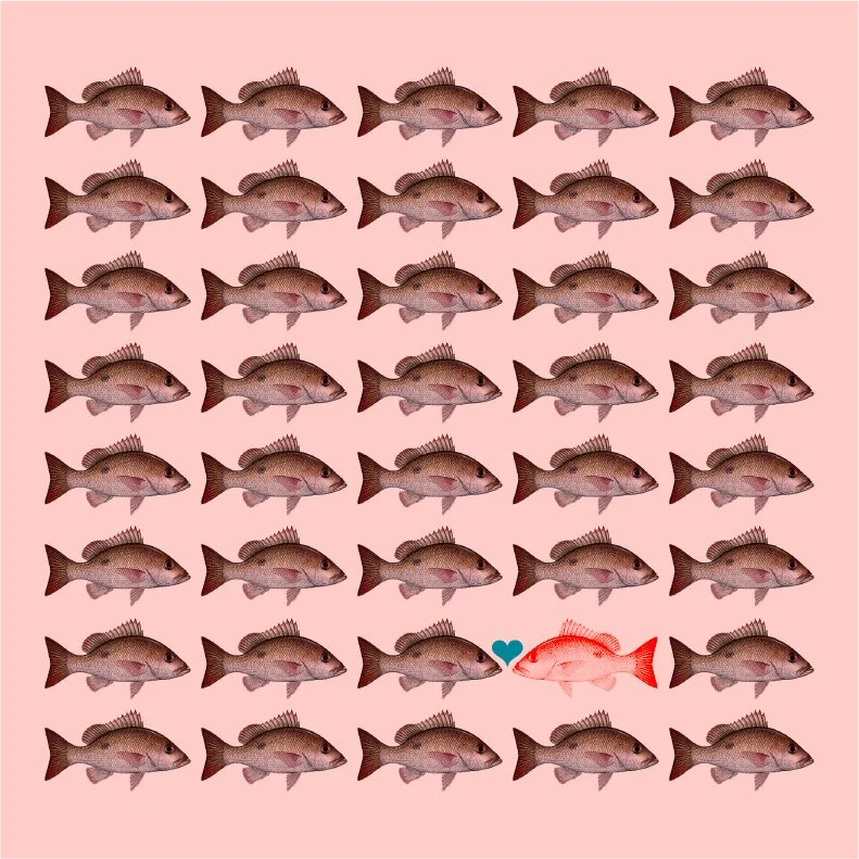 Graphic Design website-04.jpg