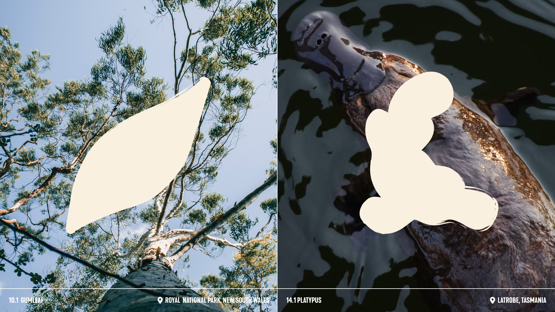 Tourism Australia - Portals - 03.png