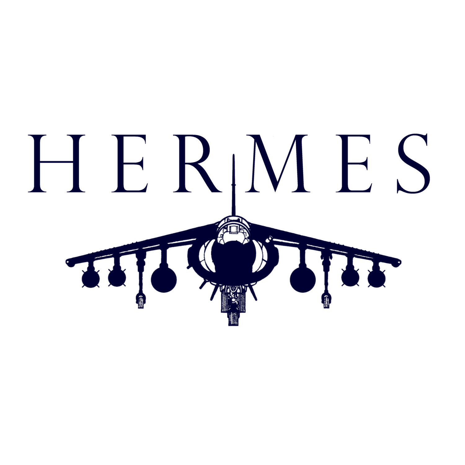 Hermes Amphibious Strike Task Group
