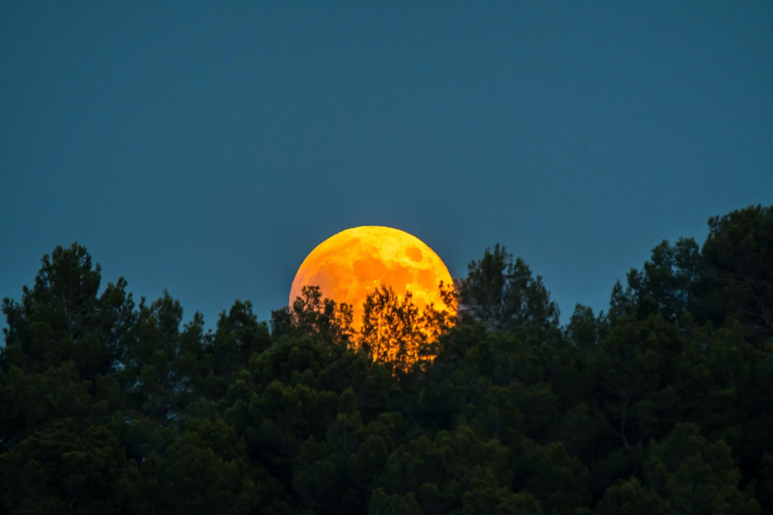 moon-4343168.jpg