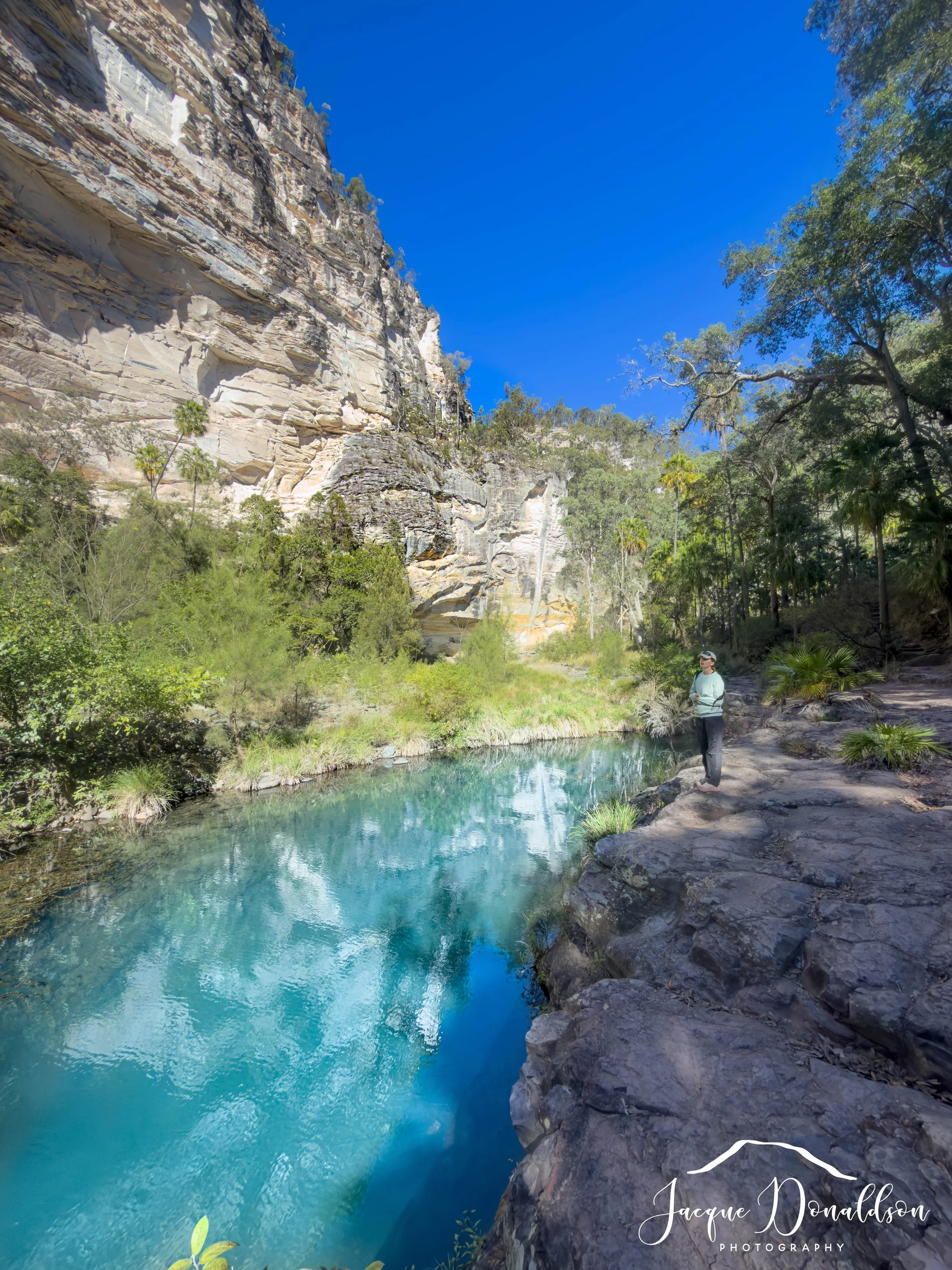 Carnarvon Gorge is such a stunning place. A definite for anyone&rsquo;s bucket list. 

#carnarvongorgegreatwalk #nationalparks #queensland