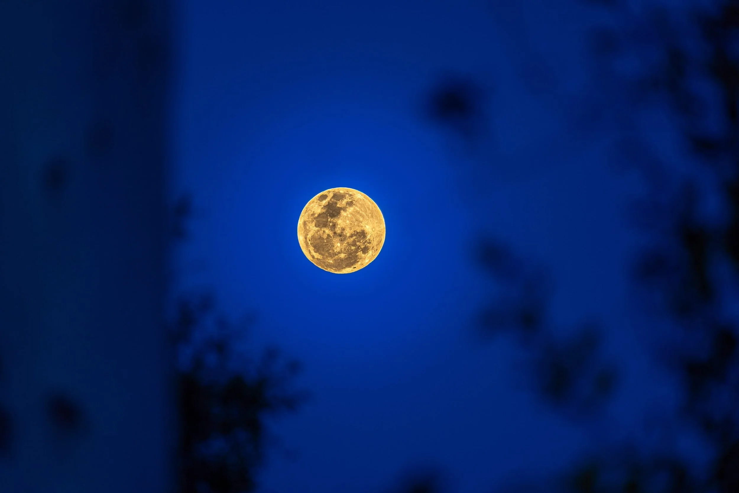 Moon tonight 29/07/2026