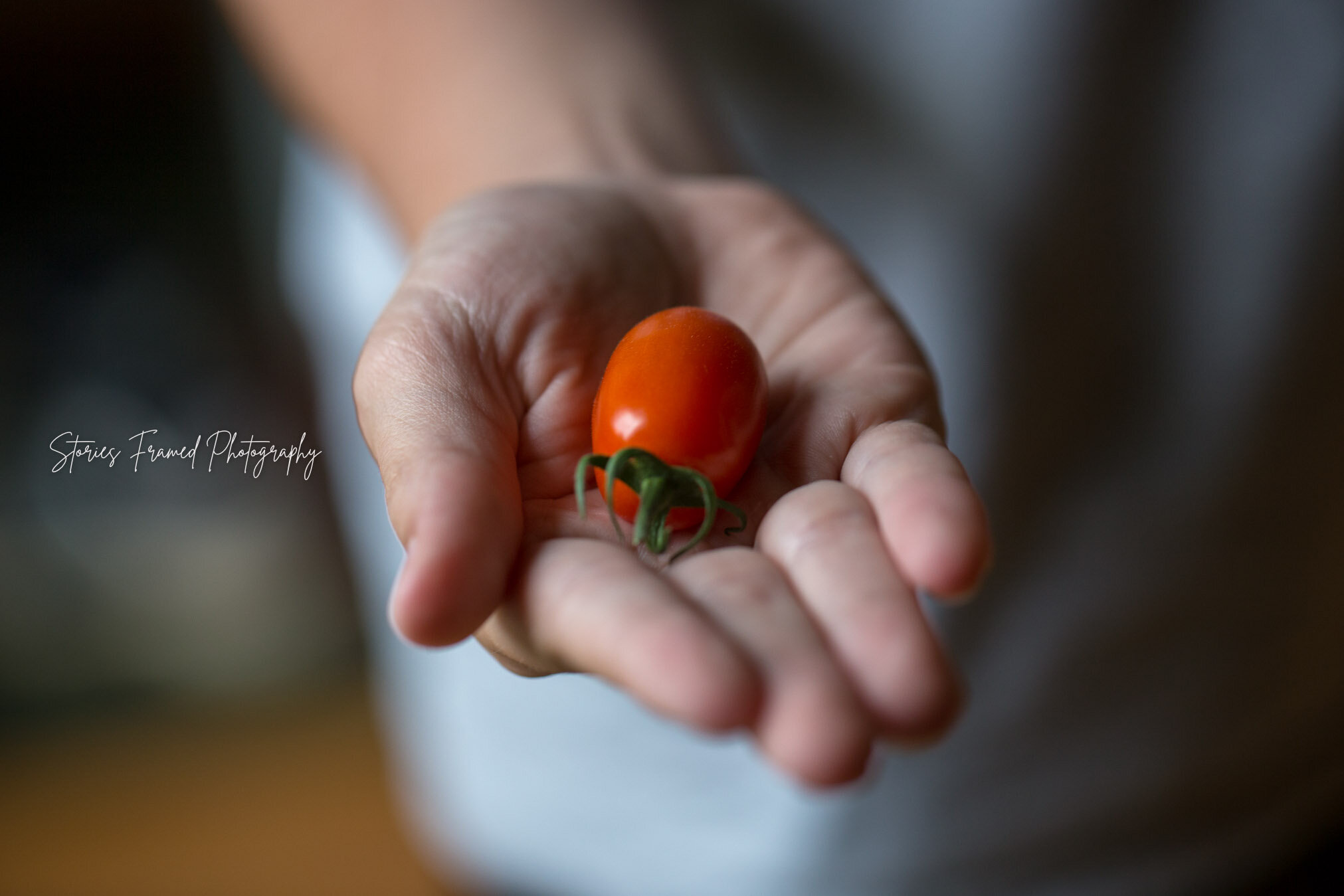 04-31-days-of-joy-red-tomato.jpg