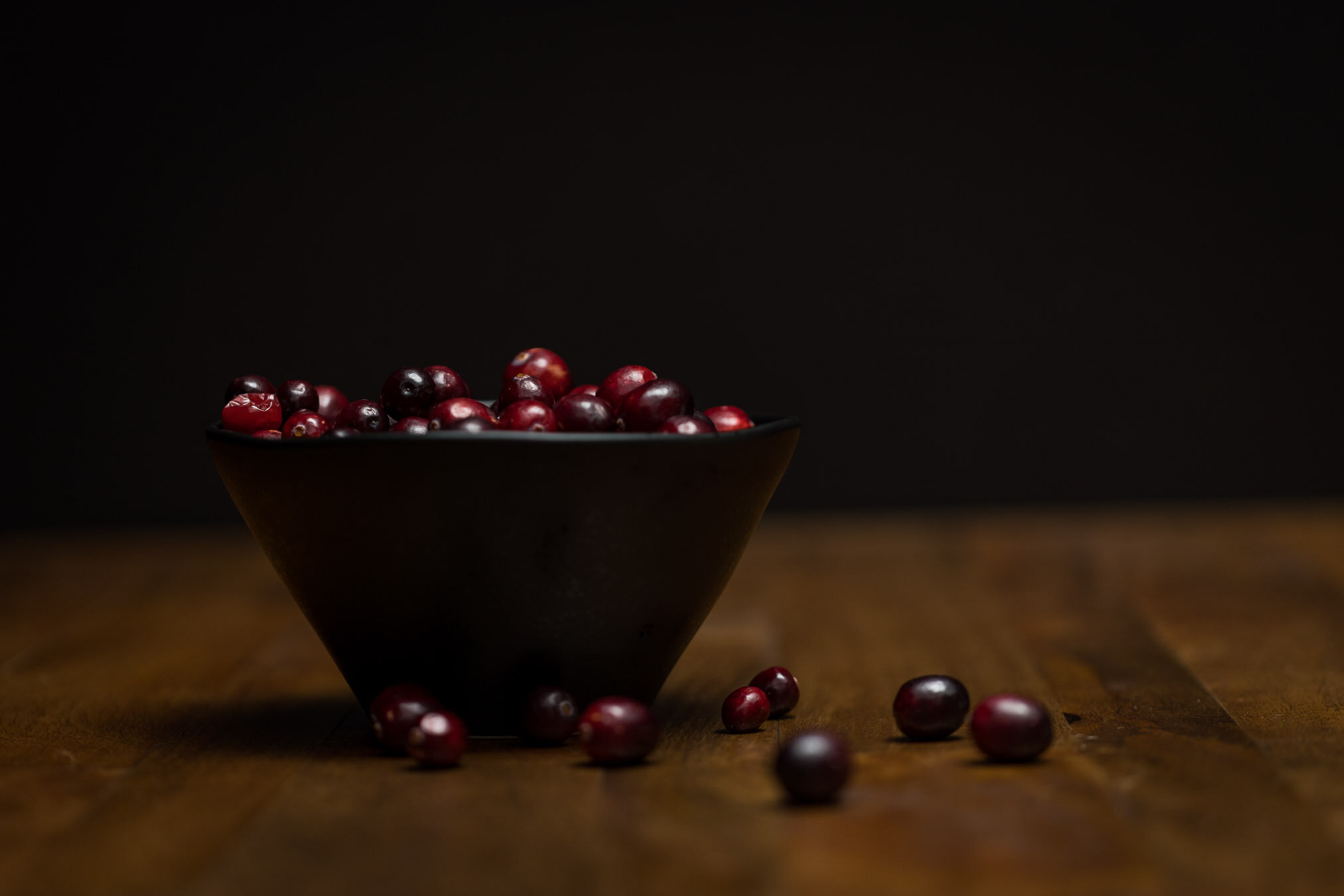 dark-moody-cranberries-05-web-Stories-Framed-Photography.jpg