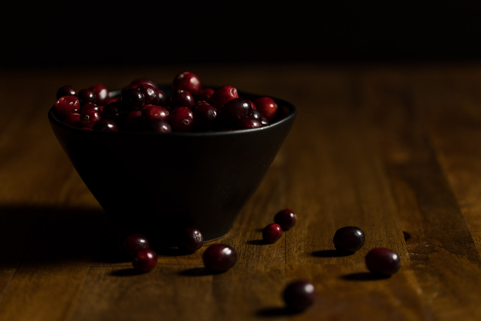 dark-moody-cranberries-02-web-Stories-Framed-Photography.jpg