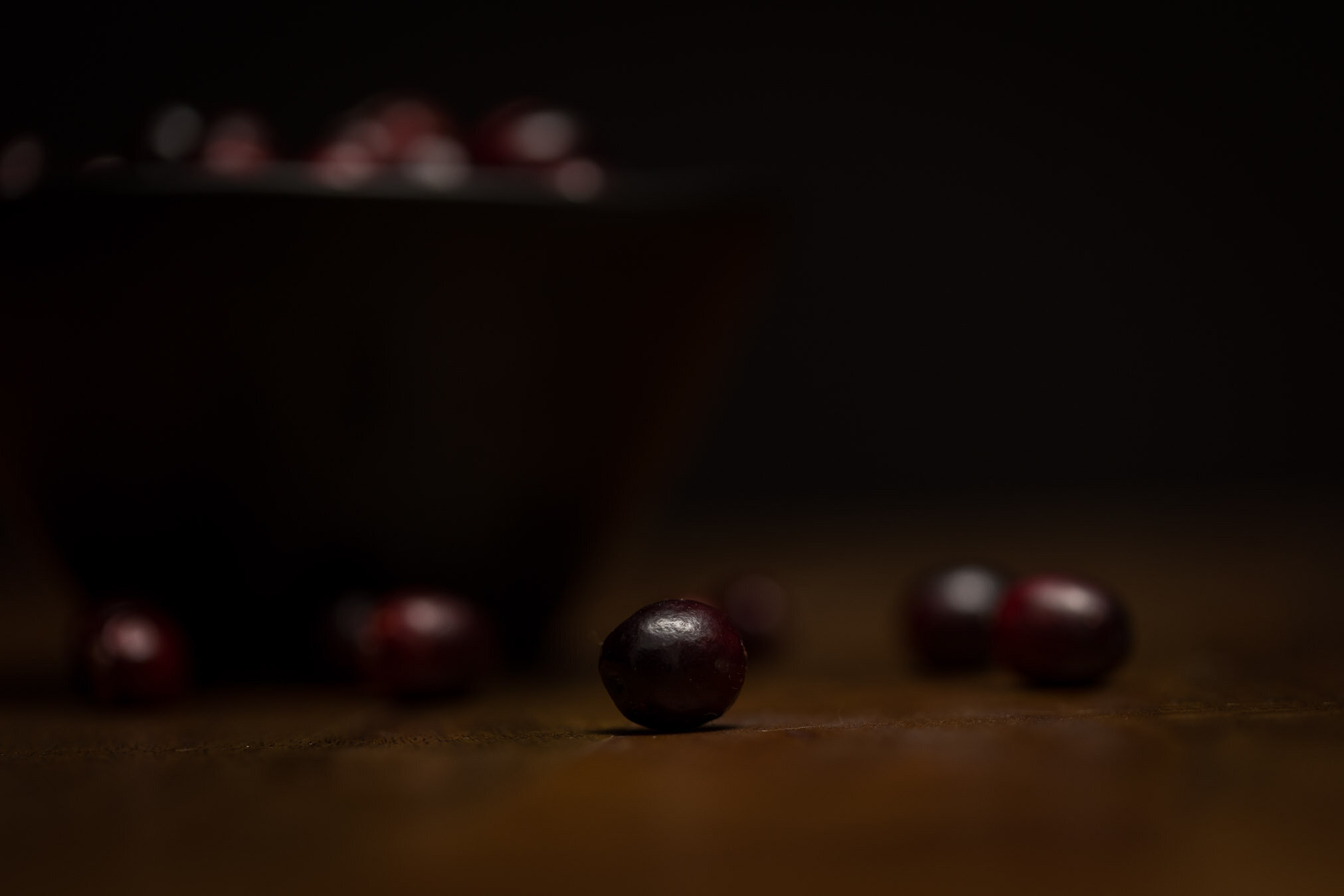 dark-moody-cranberries-06-web-Stories-Framed-Photography.jpg