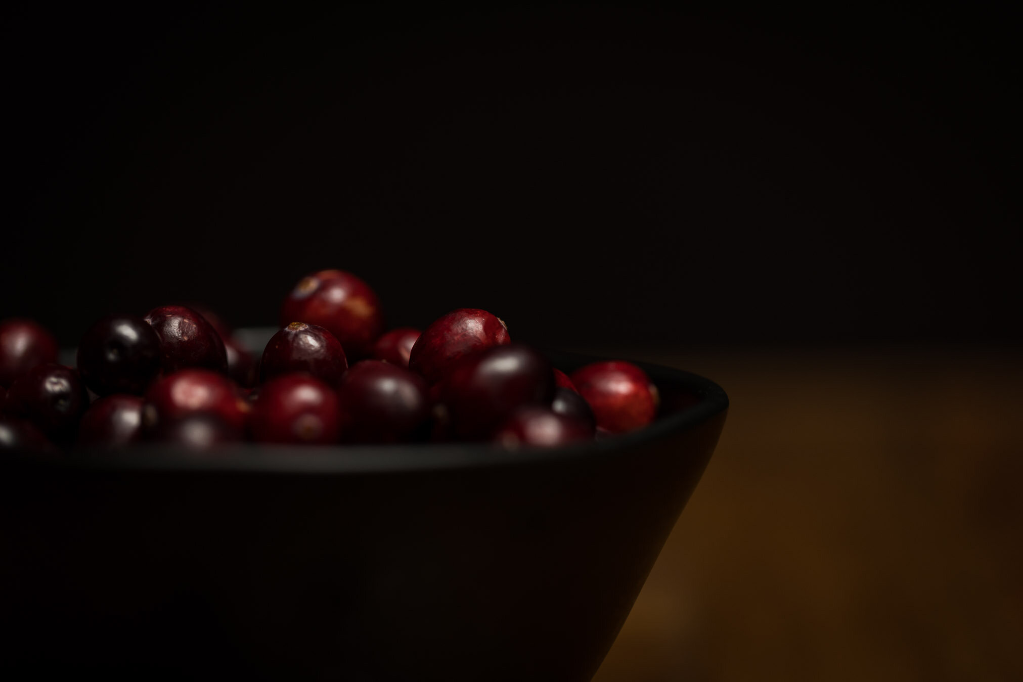 dark-moody-cranberries-07-web-Stories-Framed-Photography.jpg